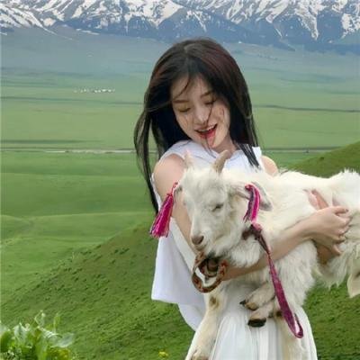 镇灵攻略第一季